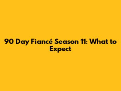 90 Day Fiancé Season 11: What to Expect