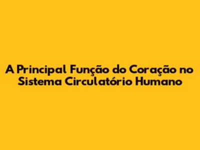 A Principal Função do Coração no Sistema Circulatório Humano