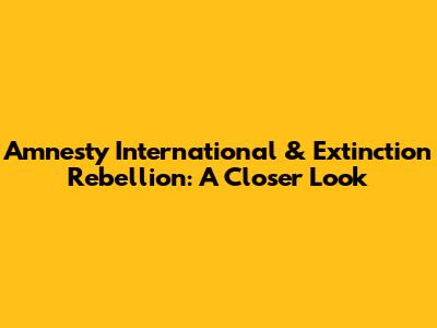 Amnesty International & Extinction Rebellion: A Closer Look