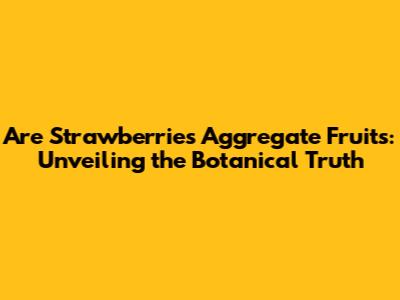 Are Strawberries Aggregate Fruits: Unveiling the Botanical Truth