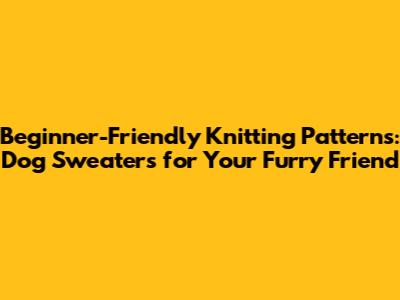 Beginner-Friendly Knitting Patterns: Dog Sweaters for Your Furry Friend