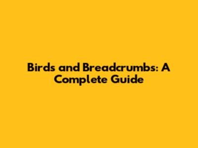 Birds and Breadcrumbs: A Complete Guide