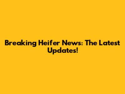 Breaking Heifer News: The Latest Updates!