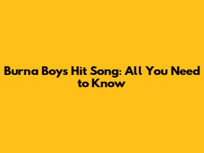 Burna Boy's Hit Song: All You Need to Know