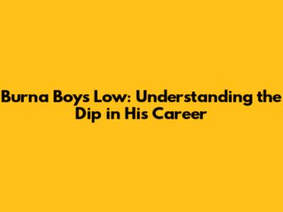 Burna Boy's Low: Understanding the Dip in His Career