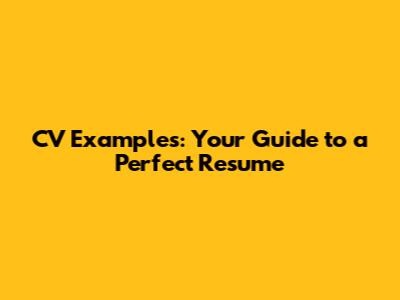 CV Examples: Your Guide to a Perfect Resume