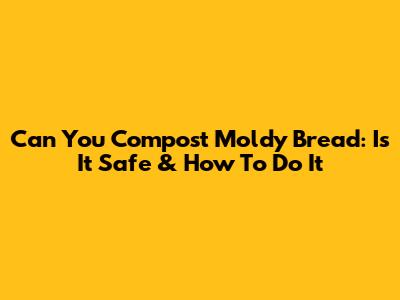 Can You Compost Moldy Bread: Is It Safe & How To Do It