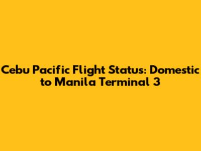 Cebu Pacific Flight Status: Domestic to Manila Terminal 3