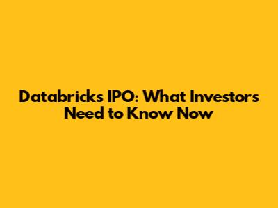 Databricks IPO: What Investors Need to Know Now