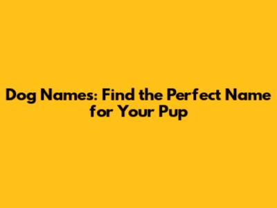 Dog Names: Find the Perfect Name for Your Pup