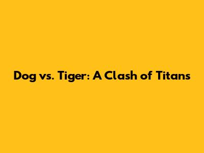 Dog vs. Tiger: A Clash of Titans