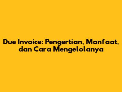 Due Invoice: Pengertian, Manfaat, dan Cara Mengelolanya