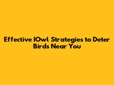 Effective IOwl Strategies to Deter Birds Near You
