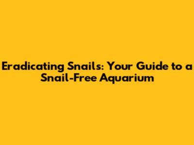Eradicating Snails: Your Guide to a Snail-Free Aquarium