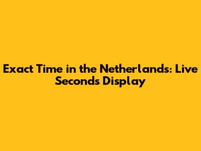 Exact Time in the Netherlands: Live Seconds Display