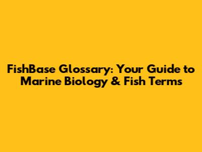 FishBase Glossary: Your Guide to Marine Biology & Fish Terms