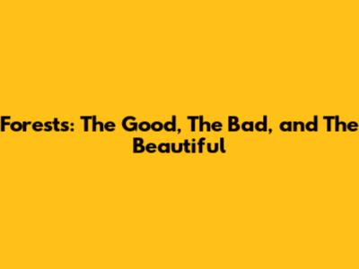 Forests: The Good, The Bad, and The Beautiful