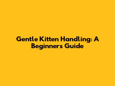 Gentle Kitten Handling: A Beginner's Guide