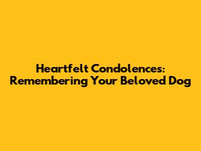 Heartfelt Condolences: Remembering Your Beloved Dog