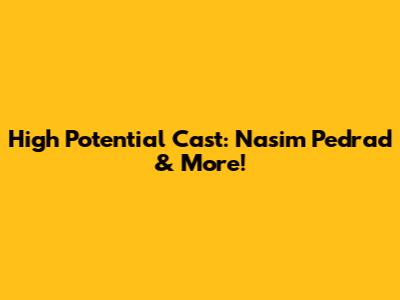 High Potential Cast: Nasim Pedrad & More!