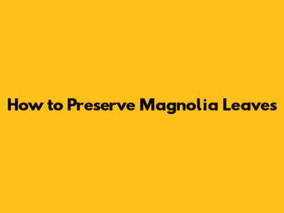 How to Preserve Magnolia Leaves