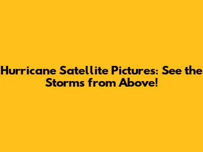 Hurricane Satellite Pictures: See the Storms from Above!