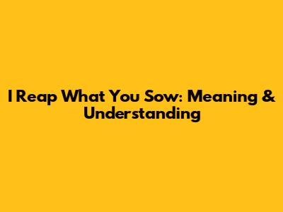 I Reap What You Sow: Meaning & Understanding