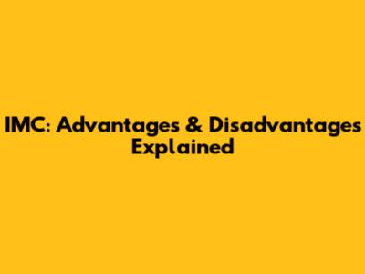 IMC: Advantages & Disadvantages Explained