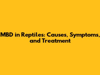 MBD in Reptiles: Causes, Symptoms, and Treatment