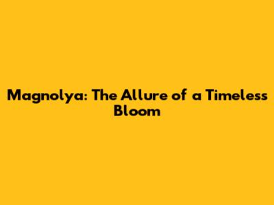 Magnolya: The Allure of a Timeless Bloom