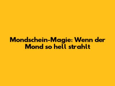 Mondschein-Magie: Wenn der Mond so hell strahlt