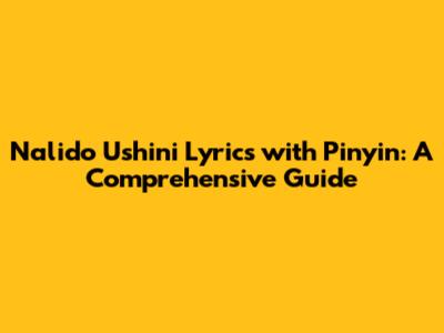 Nalido Ushini Lyrics with Pinyin: A Comprehensive Guide