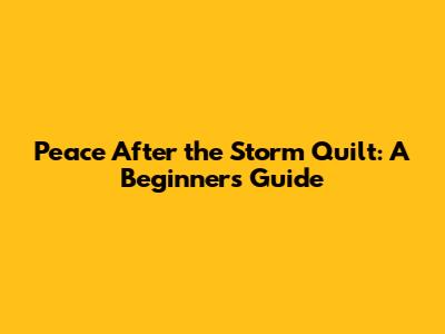 Peace After the Storm Quilt: A Beginner's Guide