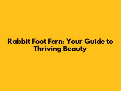 Rabbit Foot Fern: Your Guide to Thriving Beauty
