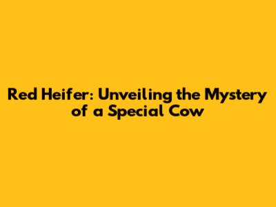 Red Heifer: Unveiling the Mystery of a Special Cow