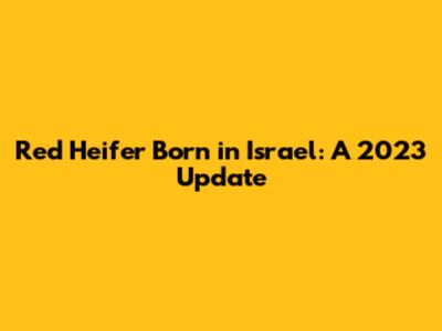 Red Heifer Born in Israel: A 2023 Update