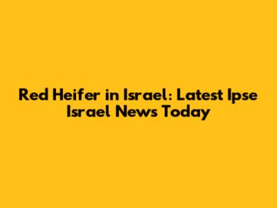 Red Heifer in Israel: Latest Ipse Israel News Today
