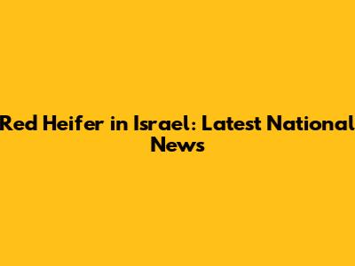 Red Heifer in Israel: Latest National News