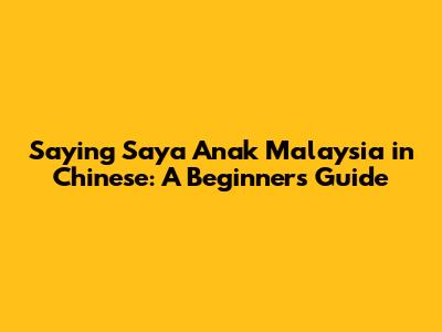 Saying 'Saya Anak Malaysia' in Chinese: A Beginner's Guide