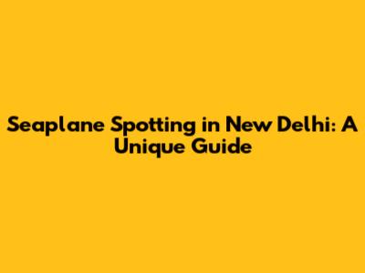 Seaplane Spotting in New Delhi: A Unique Guide