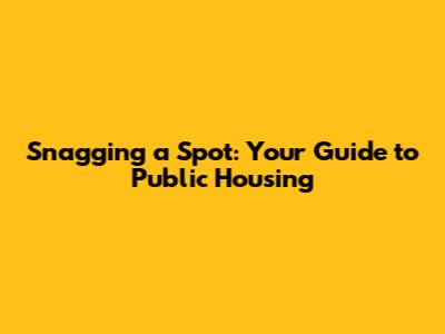 Snagging a Spot: Your Guide to Public Housing