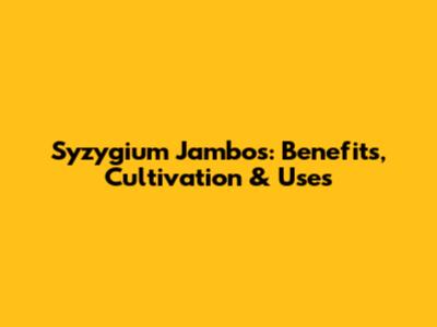 Syzygium Jambos: Benefits, Cultivation & Uses