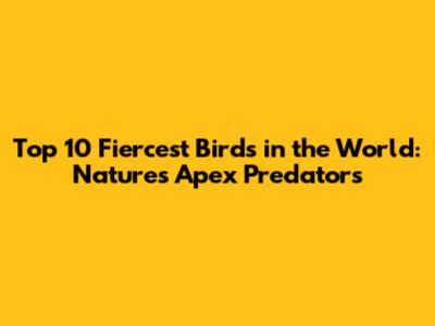 Top 10 Fiercest Birds in the World: Nature's Apex Predators