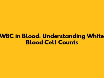 WBC in Blood: Understanding White Blood Cell Counts