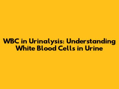 WBC in Urinalysis: Understanding White Blood Cells in Urine