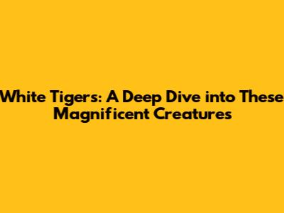 White Tigers: A Deep Dive into These Magnificent Creatures