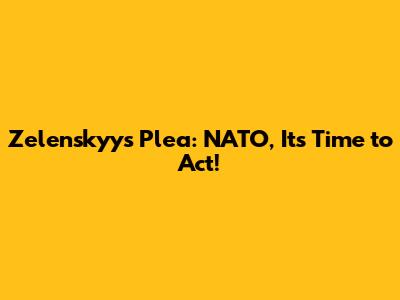 Zelenskyy's Plea: NATO, It's Time to Act!